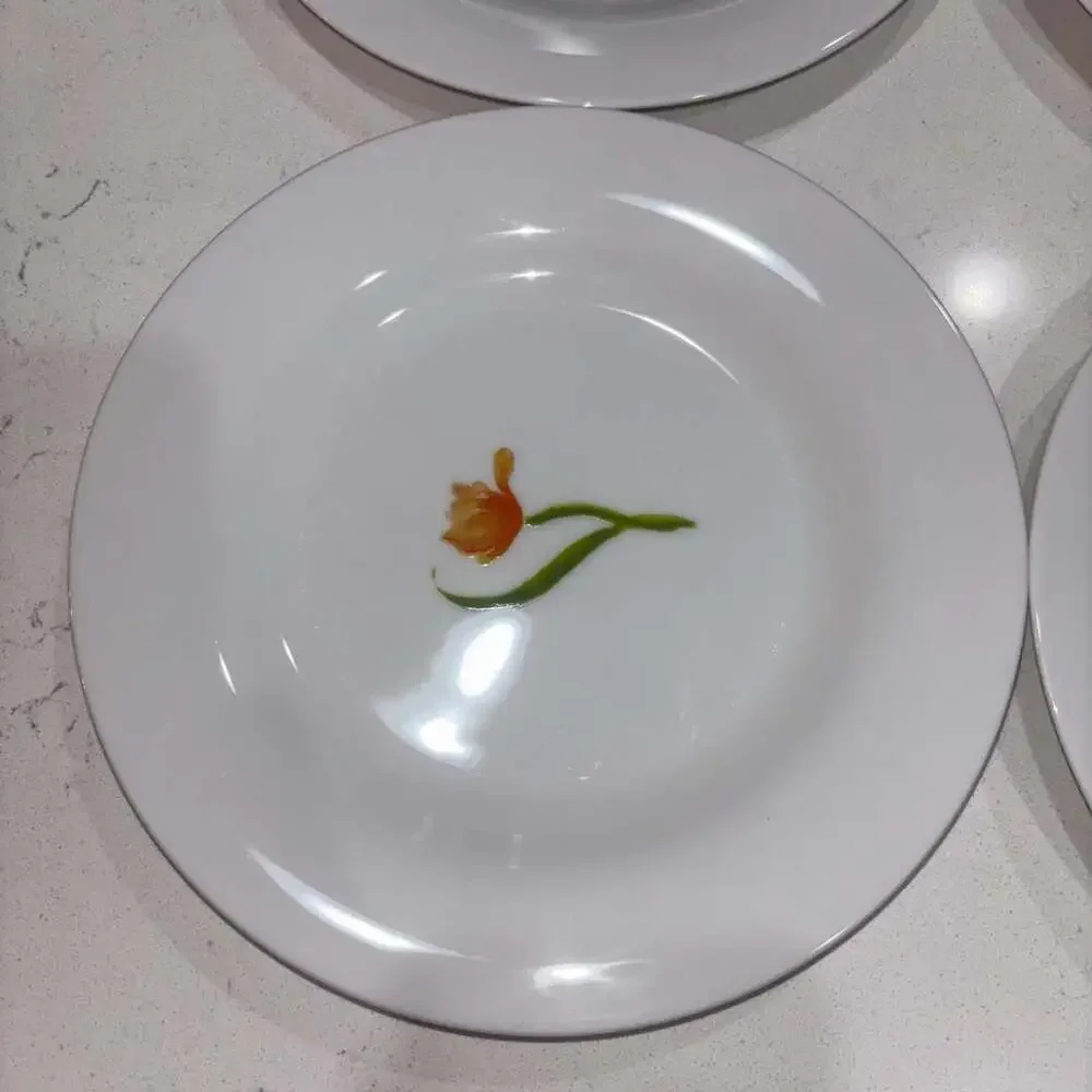 Pottery Barn Bloom Set of 6 Mixed Floral Salad Plates 8.5”